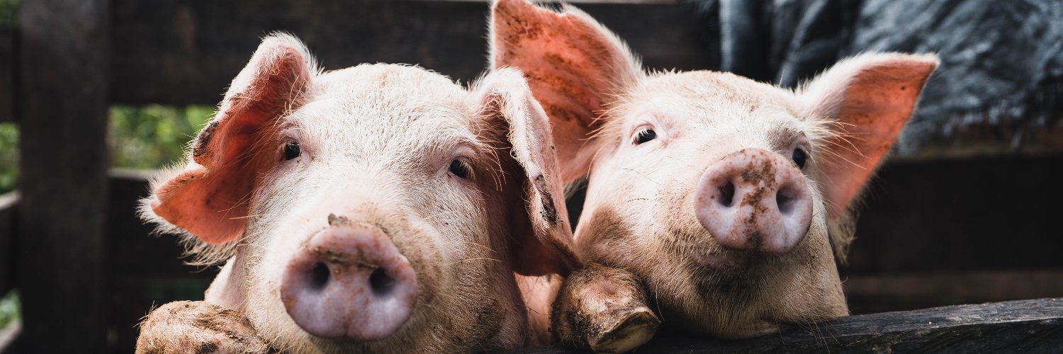 Compassion in World Farming International's banner