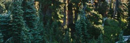 Kernushka's profile banner image