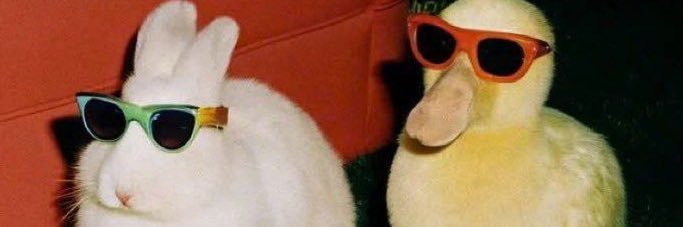 𝑪𝒉𝒂𝒚𝒂𝒑𝒊𝒏𝒈 banner