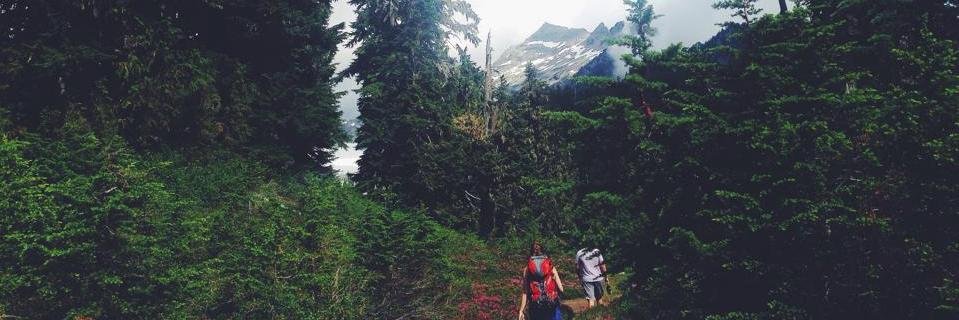 tdikun's profile banner image