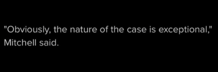 Cat Lady Ballerina banner