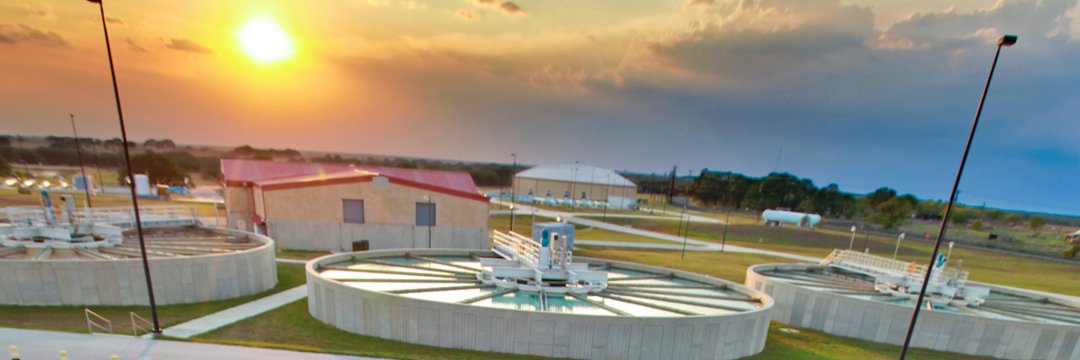 𝐒𝐀𝐖𝐒 🪴🐝 🌺 banner