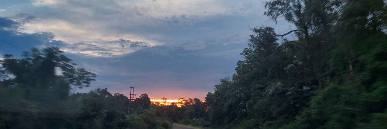 Paula Schapovaloff banner