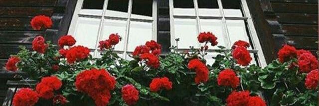 gorry18's profile banner image
