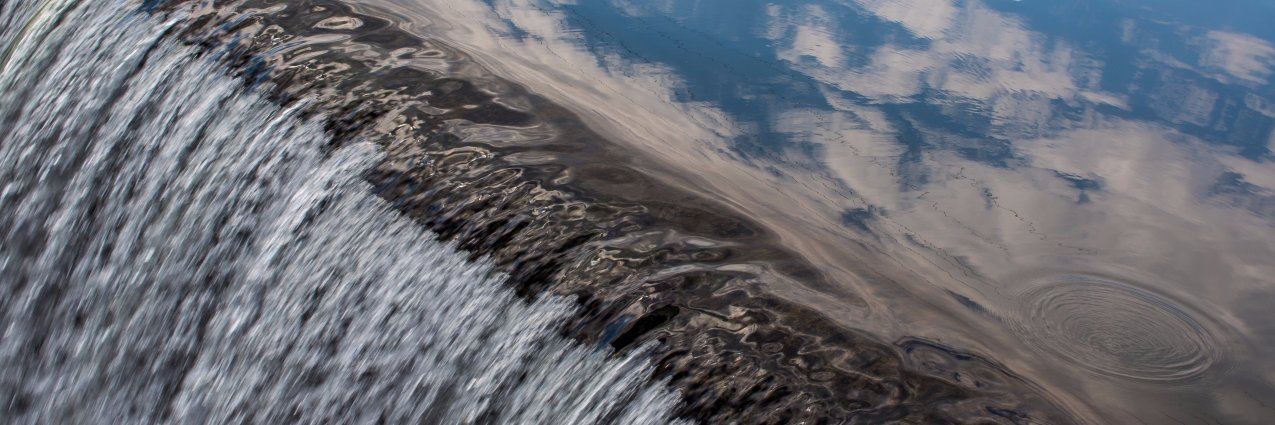Nancy Andrews banner