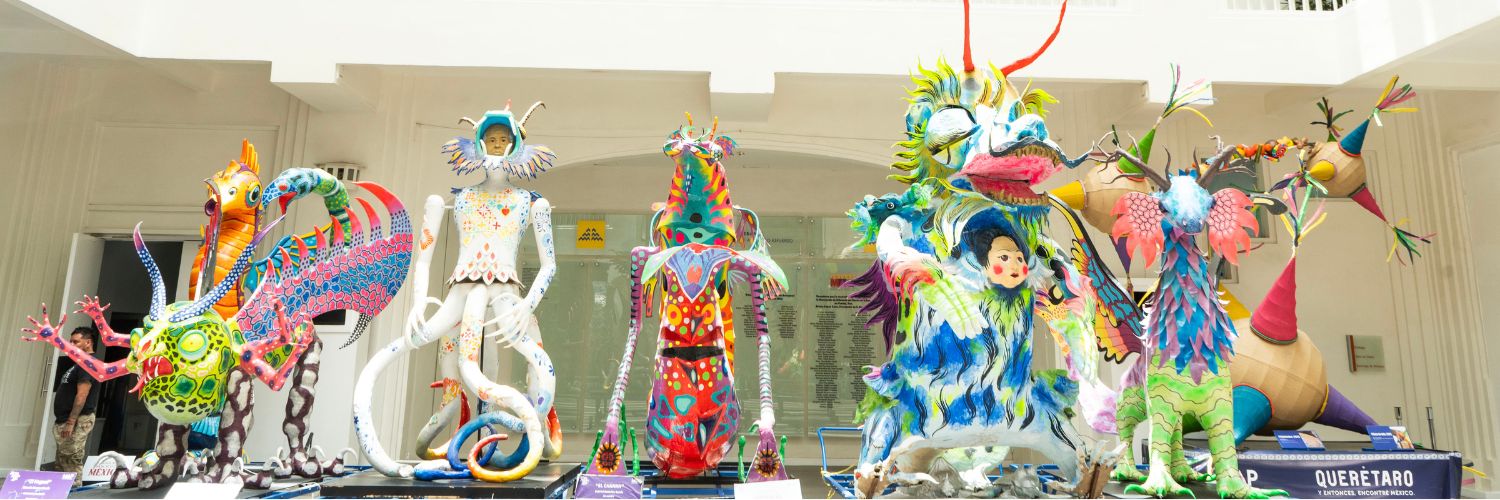 Amigos Museo de Arte Popular banner