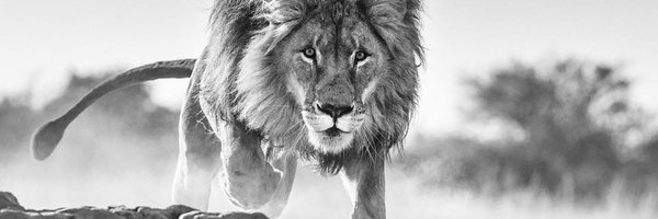 KRFoundationSA Profile Banner