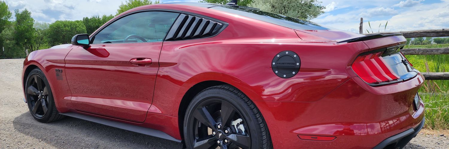 Professor Sayi, the View From Here. banner