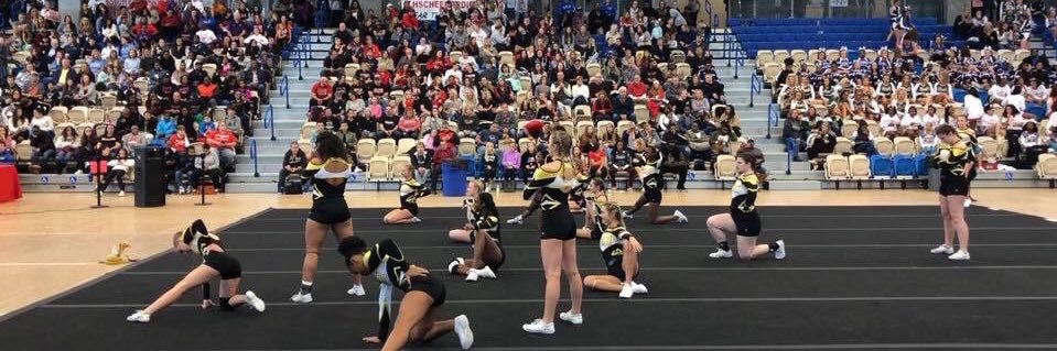 HTHS Cobra Cheer banner