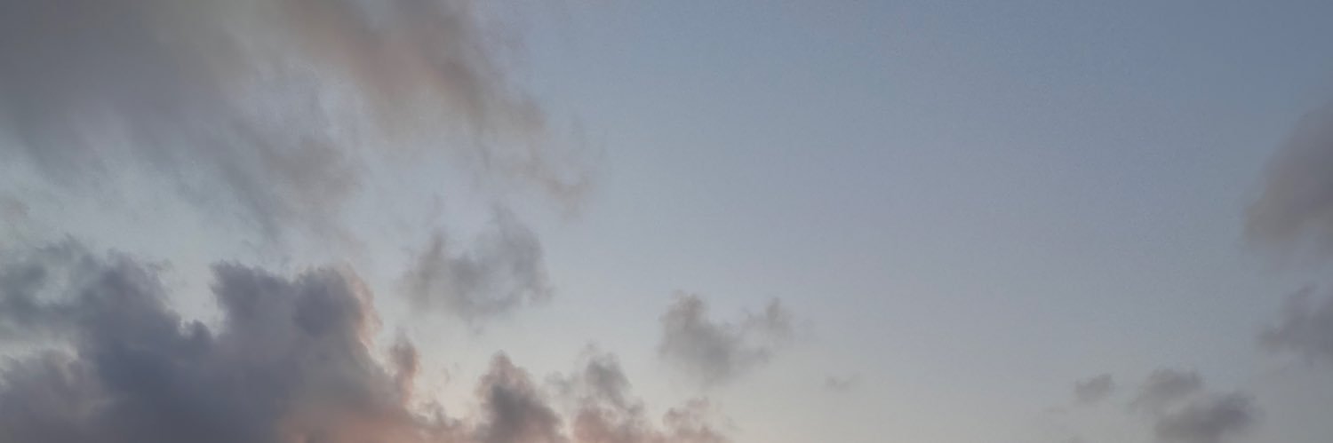 that french guy banner