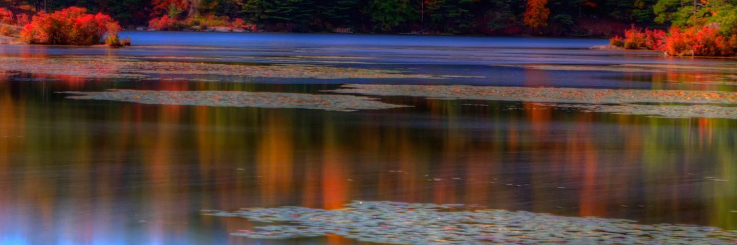 jonkapsal's profile banner image