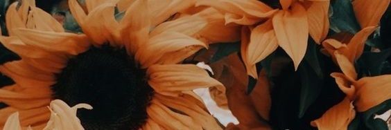 amanyshafa's profile banner image
