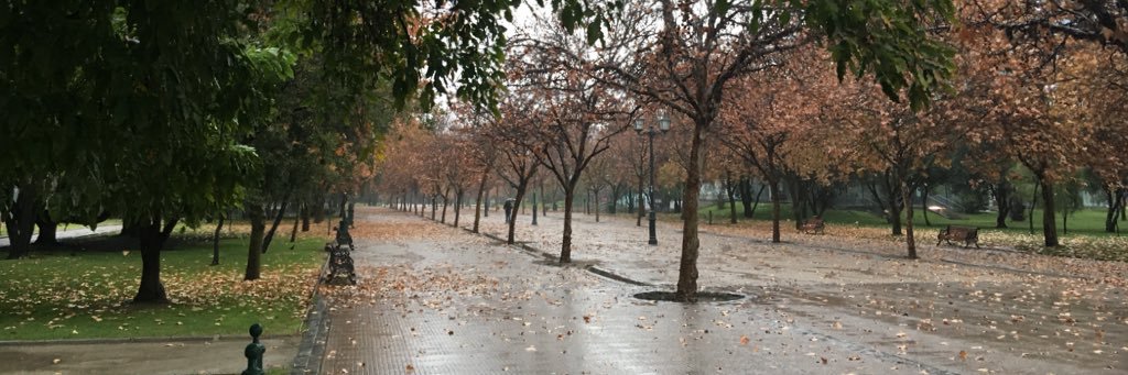 Fabián Parrado G. banner