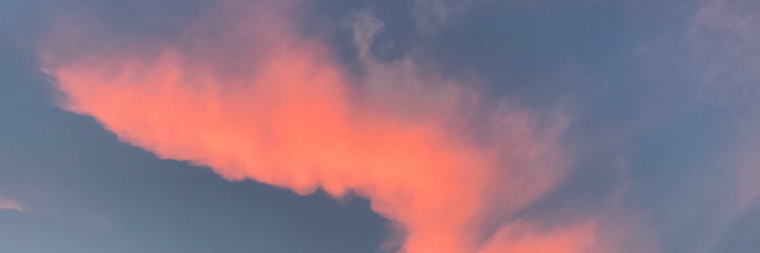 gina_padt's profile banner image