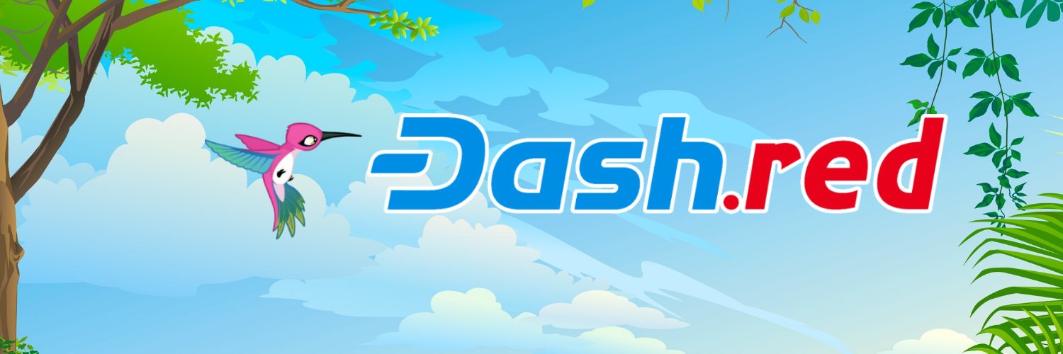 dash.red banner