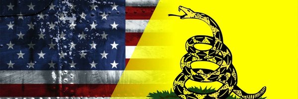 BigGovDrools Profile Banner