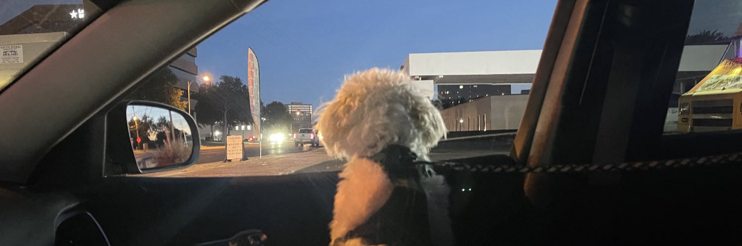 EmilyG001's profile banner image