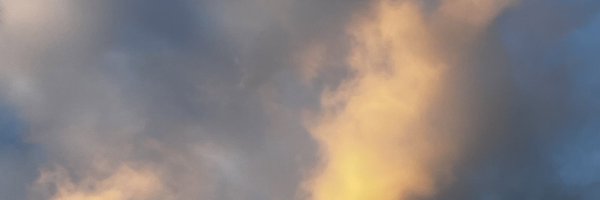 jdalewrites Profile Banner