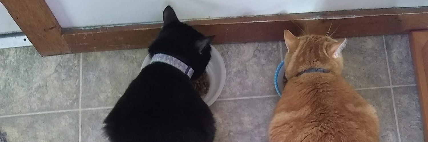 AutieAutismMom's profile banner image