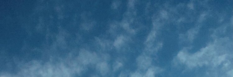 Meredith Staveley-Watson banner