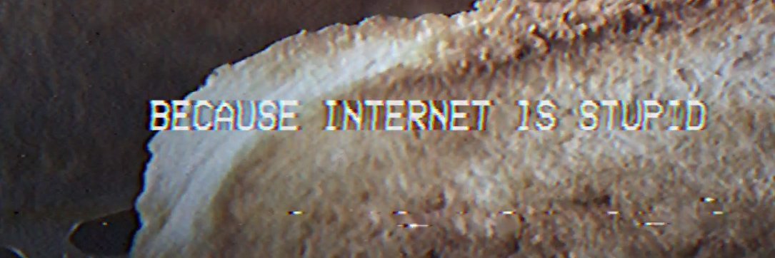 VOLE.wtf 🐹⁉️ banner