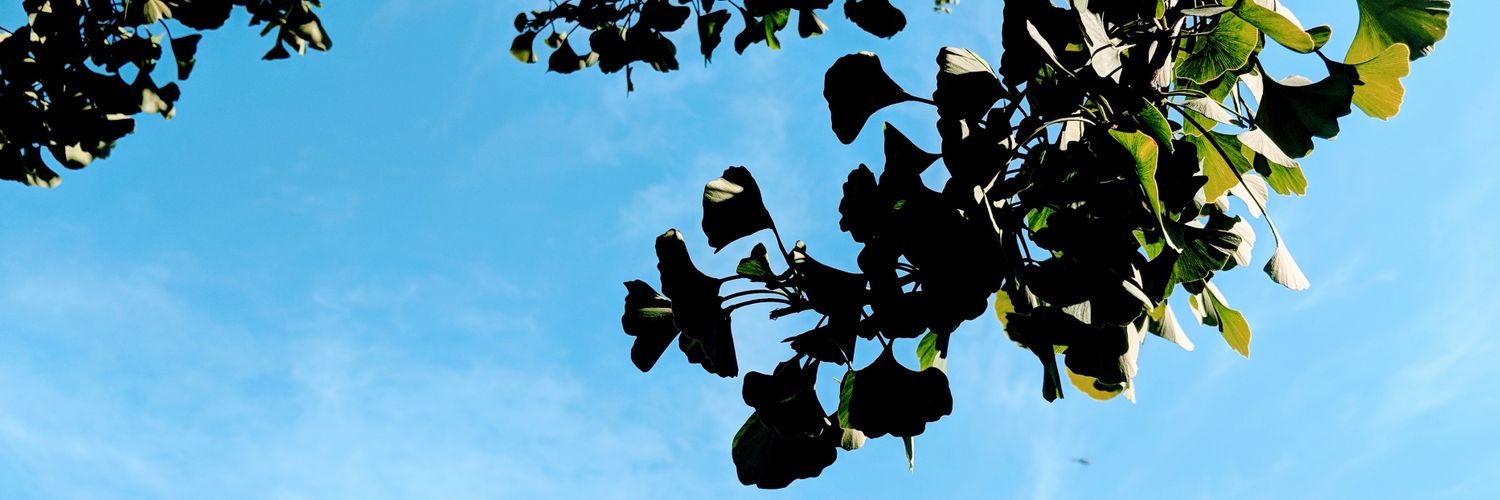 Billyjj98's profile banner image