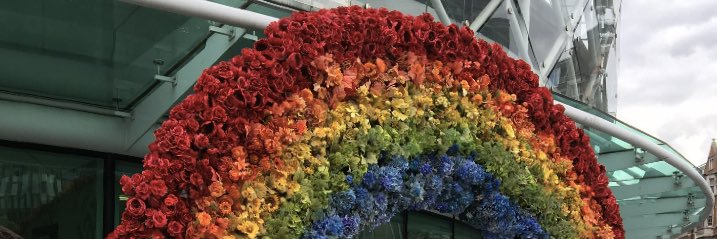 Kate Cwynarski banner