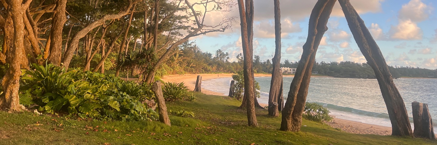 Morgan Pōmaika'i Lee banner