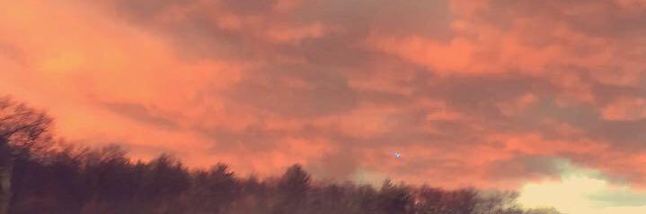 neseirk's profile banner image