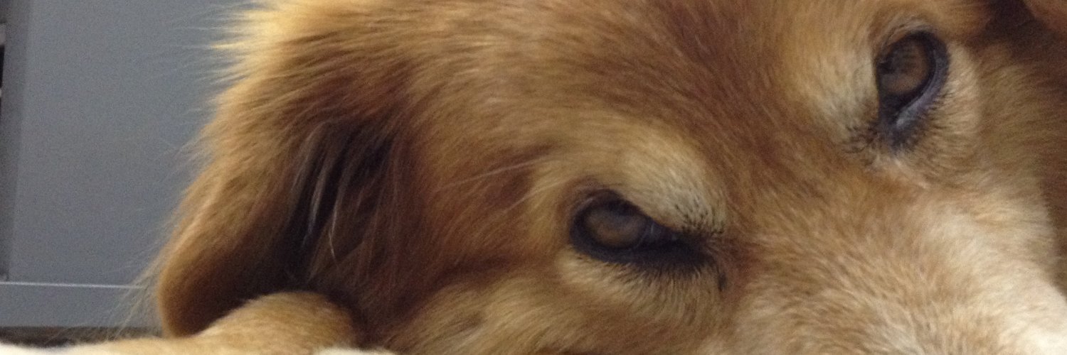 Hebersss's profile banner image