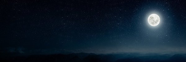 theresalieb Profile Banner