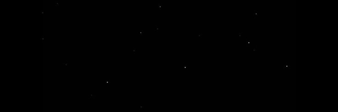 Shazi. banner