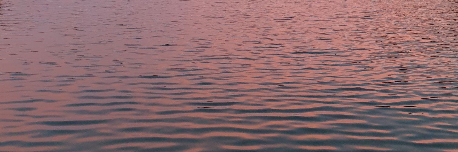 Anto⚜ banner