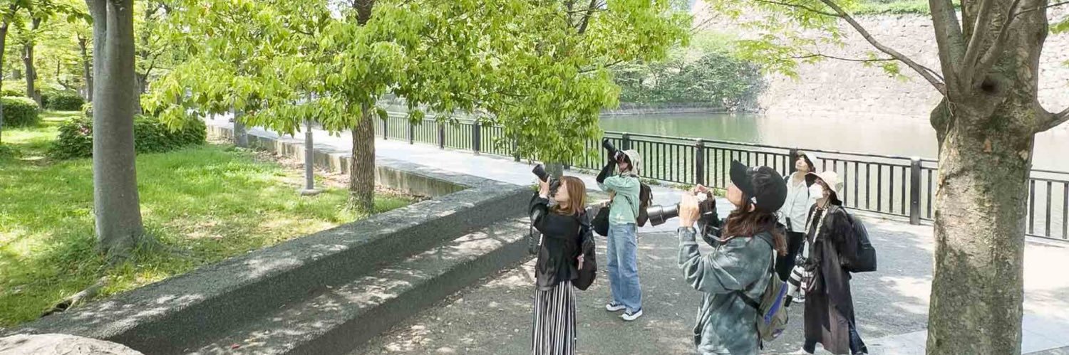 いまいごう@スズメ写真家 banner