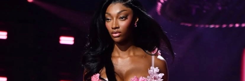 sal || ultimate angel reese defender banner