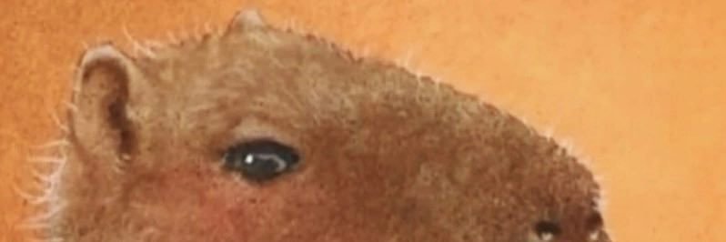 ADebelaya's profile banner image
