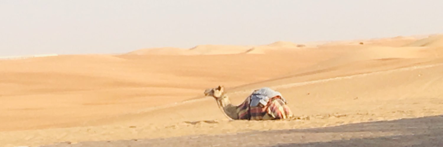 ssreejithm's profile banner image