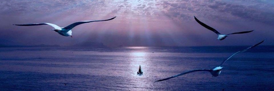 Sea_Spirit's profile banner image