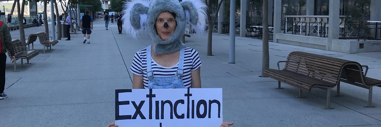 AmandaBromfield's profile banner image