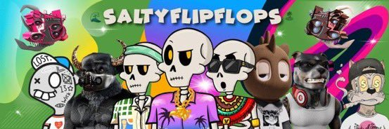 🌊SaltyFlipFlops🏝️'s banner