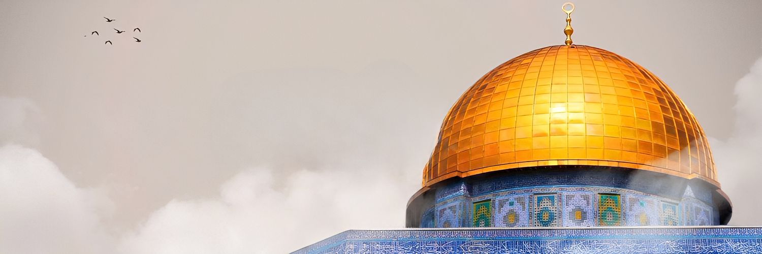 berkanenajib's profile banner image