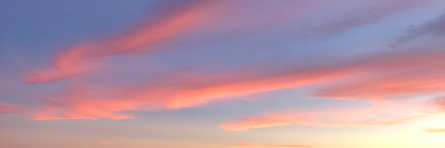 sarapesh's profile banner image