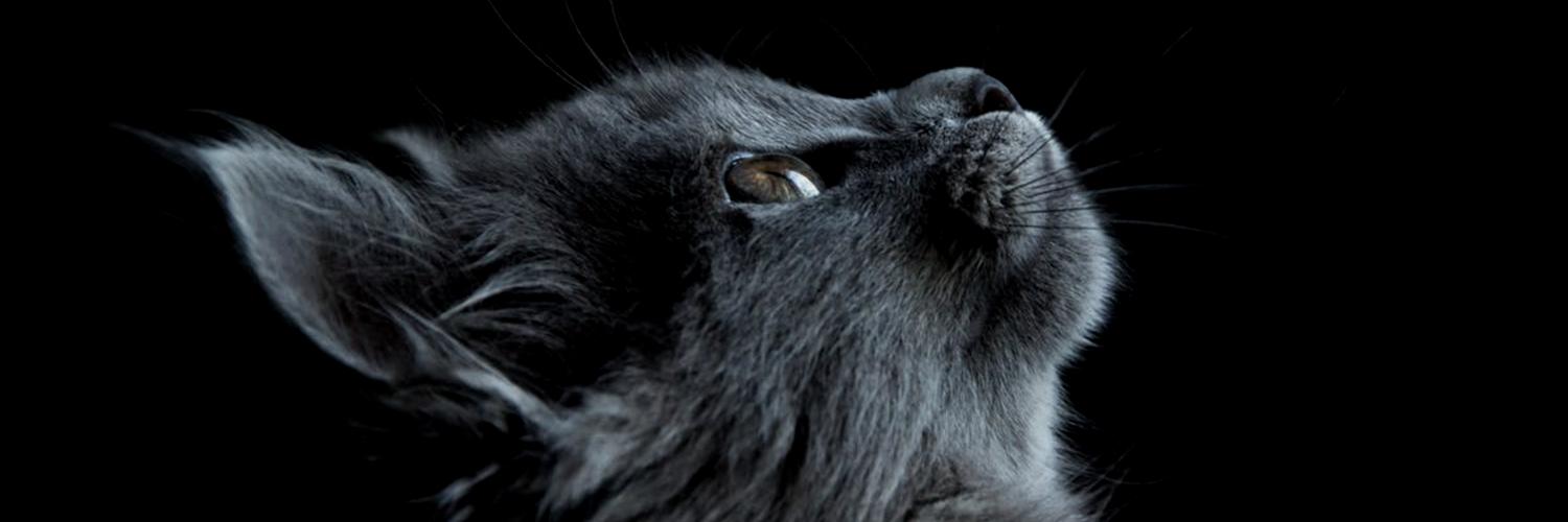 3_33T's profile banner image