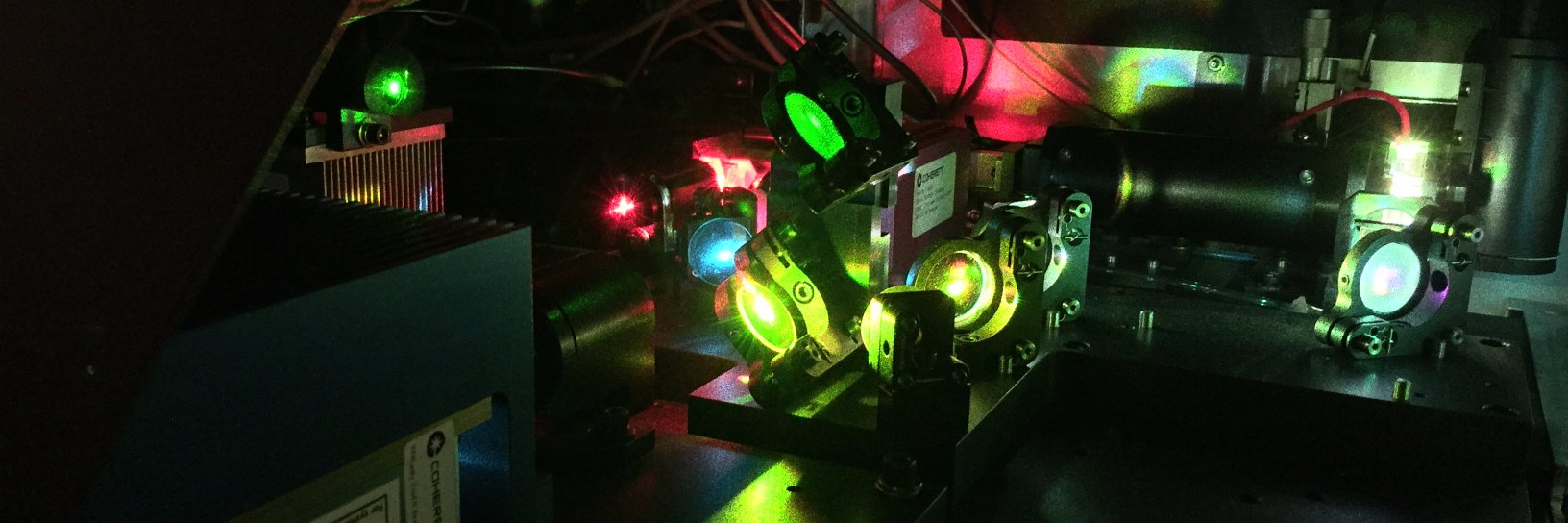 Delgoffe Lab's banner
