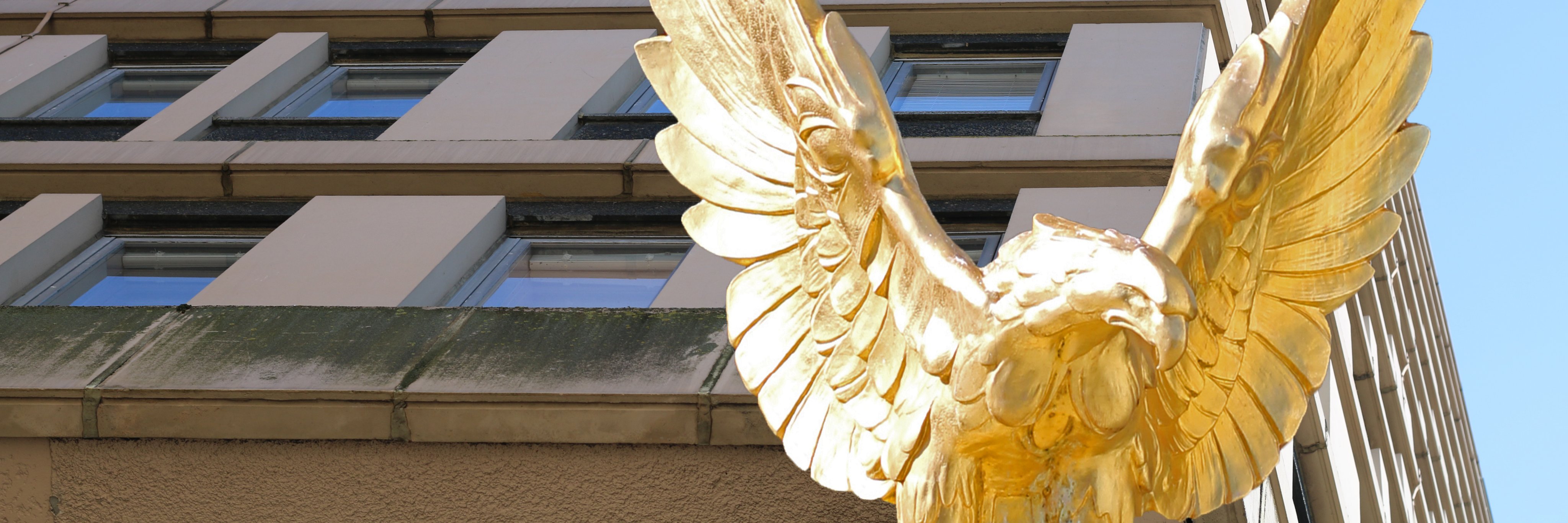 DMSagency's profile banner image