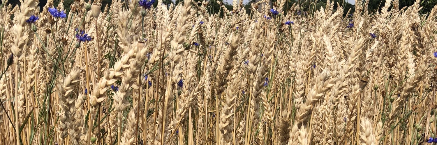 JS 🇪🇸🇺🇦🇱🇧 banner