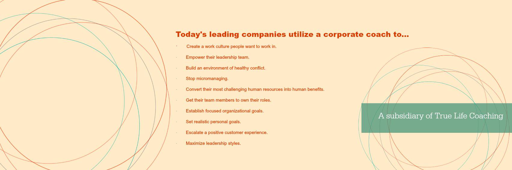 Shandel Group banner