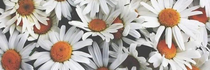 PopCorana's profile banner image