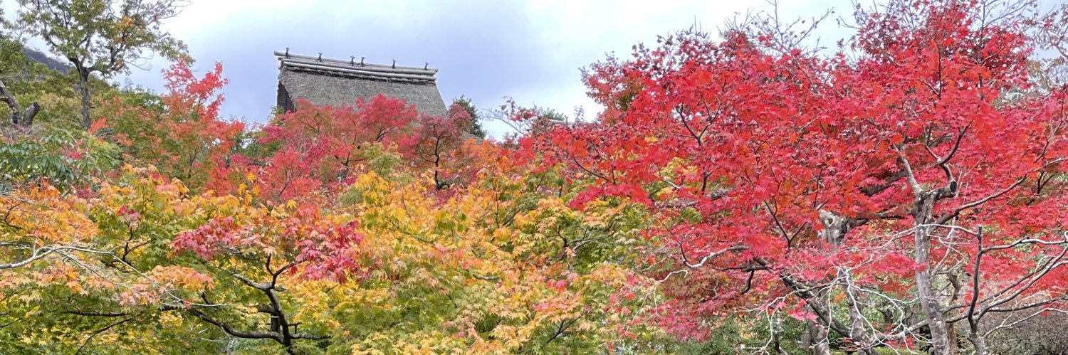 yu091635's profile banner image
