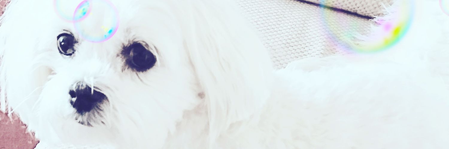 fclarke77's profile banner image